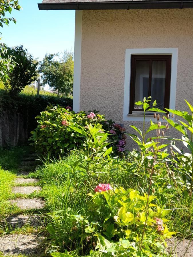 Miniponyhof Biohof Almbauer Appartement Waidhofen an der Ybbs Buitenkant foto